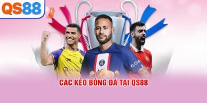 Thể Thao QS88: Sảnh Cá Cược Trực Tuyến Uy Tín, Soi Kèo Săn Thưởng 2026 - TAXO.TOP