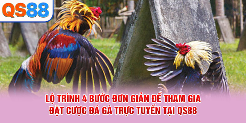 Đá Gà QS88 - Sảnh Cược Live Trực Tiếp Đỉnh Cao 2026 - TAXO.TOP